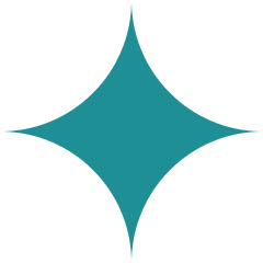 WordPress • Elementor • WooCommerce